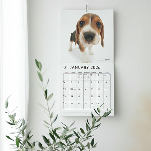 THE DOG 2026 Wall Calendar Cavalier King Charles Spaniel (Large Format) - Picture 4 of 7