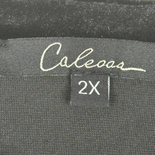 Caleoaas Plus Size 2X Velvet Boho Floral Tunic Top Black Multicolor Embroidered - Picture 7 of 14
