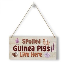 Funny Guinea Pig Wood Wall Art Home Farmhouse Wall Hanging Decor Guinea Pig G...