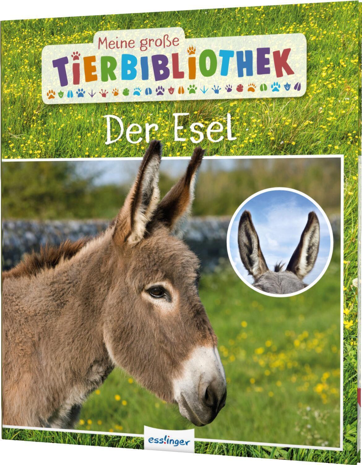 Thumbnail - Meine Große Tierbibliothek: Der Esel Axel Gutjahr