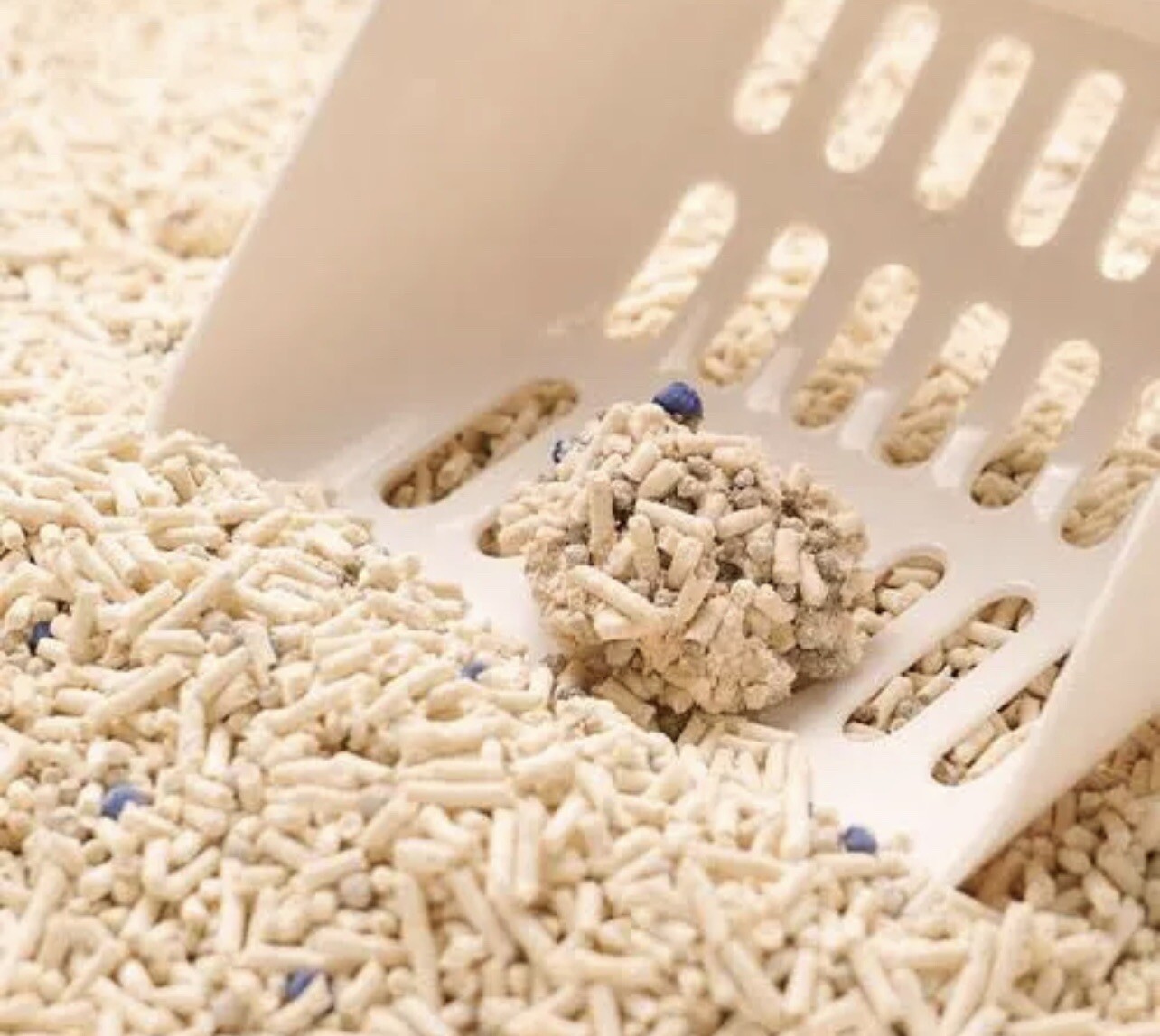 PIDAN 3.6kg ️4 bags Tofu+Bentonite Composite Cat Litter eBay