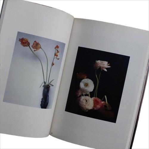 The Works of Nobuyoshi Araki 17 Fotobuch Sinnliche Blumen 1. Auflage Obi - Bild 17 von 17