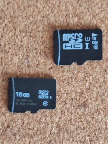 2 x 16GB Micro SD Card