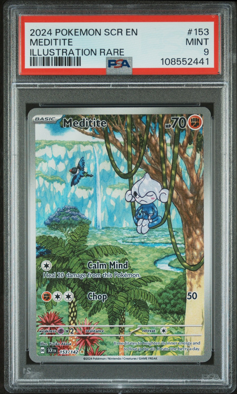 Meditite #153