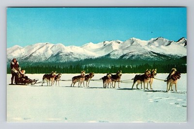 AK-Alaska, Husky Dog Team & Mushers, Antique Vintage Souvenir Postcard