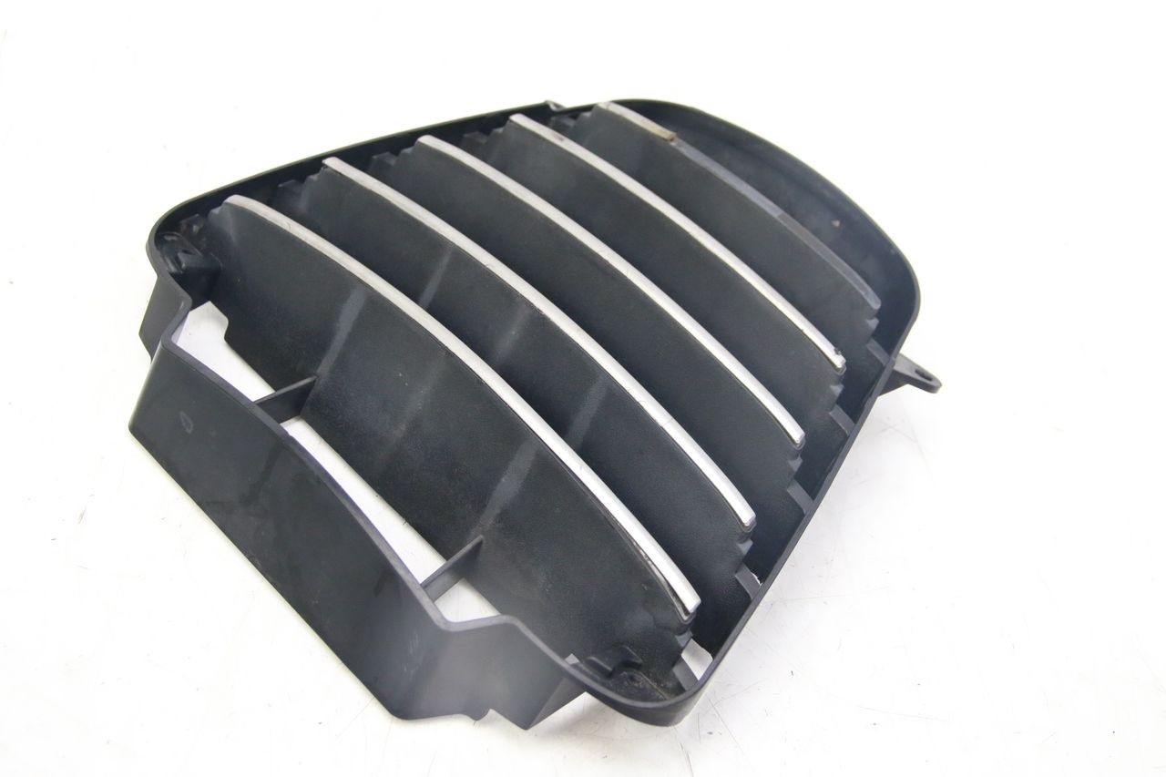 KÜHLERGRILL - PIAGGIO MP3 125 (2006 - 2014)