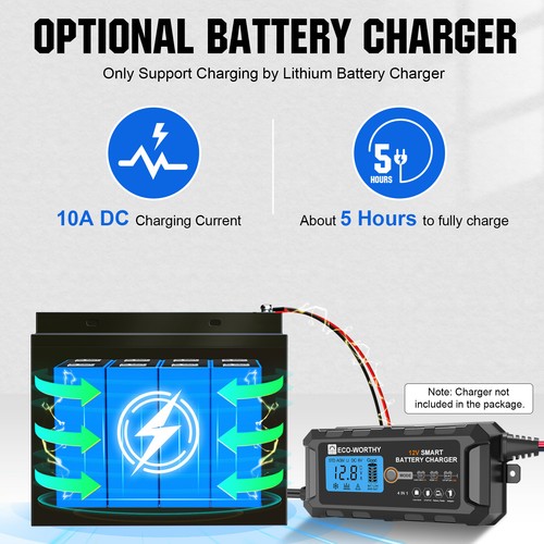 10AH 30AH 50AH 12V Deep Cycle Lithium Battery LiFePO4 for RV Boat Solar Kit - Picture 26 of 38
