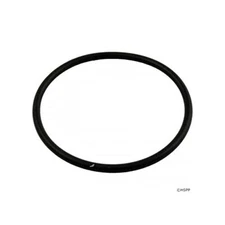 Pentair R172009Z Feeder O-Ring, White