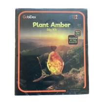 GobiDex Plant Amber Dig Kit 6 Dig Up 6 Real Plants Educational DIY Science Kit