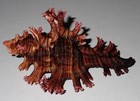 108 mm PINK THORN Chicoreus Palmarosae Murex Seashell #AB5 From Racha Island