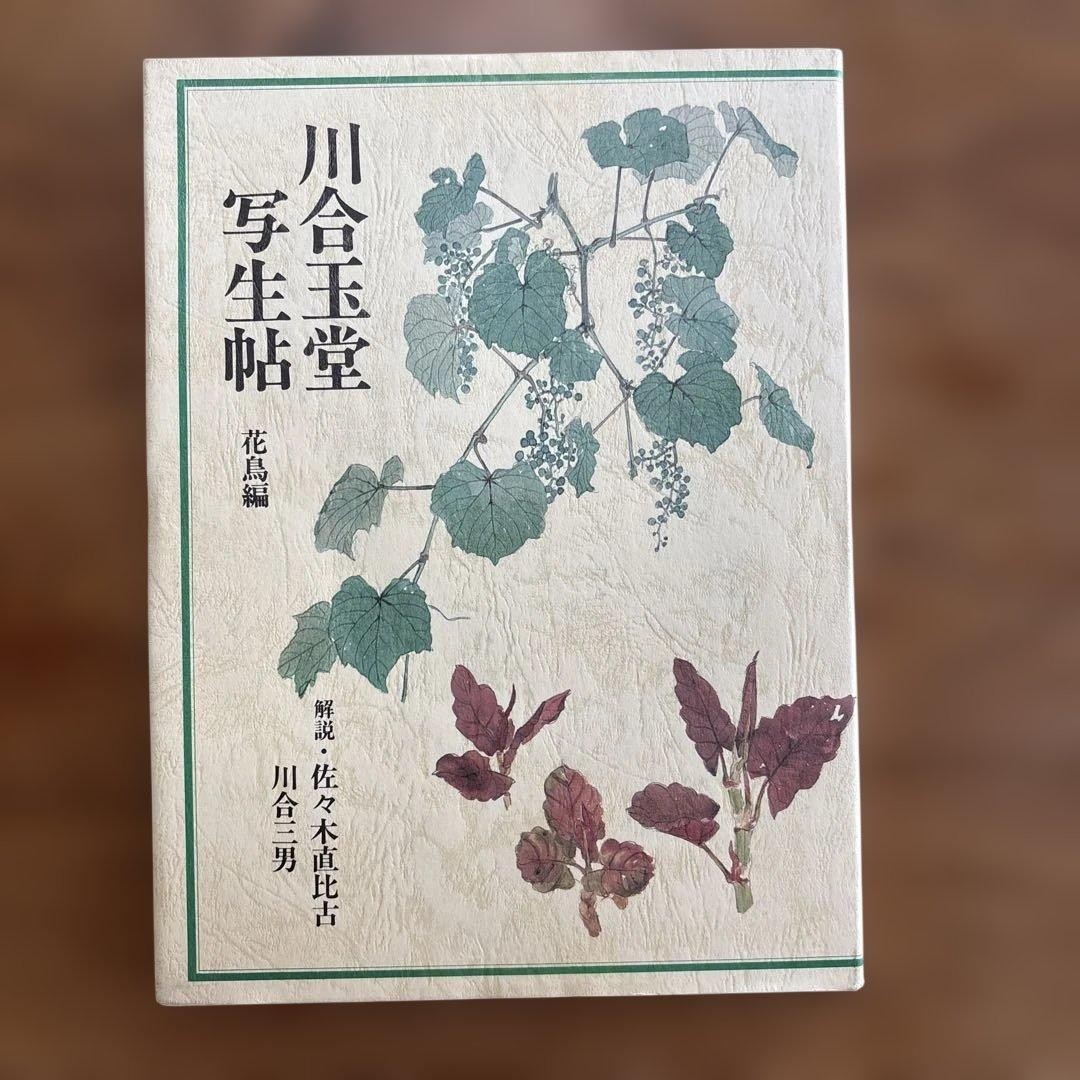 Bocetos Kawai Gyokudo: Edición Flores y Pájaros