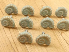 10 Knobs Cabinet Pulls Bathroom Decor Handles Nautical Ocean Snail Shell Knob