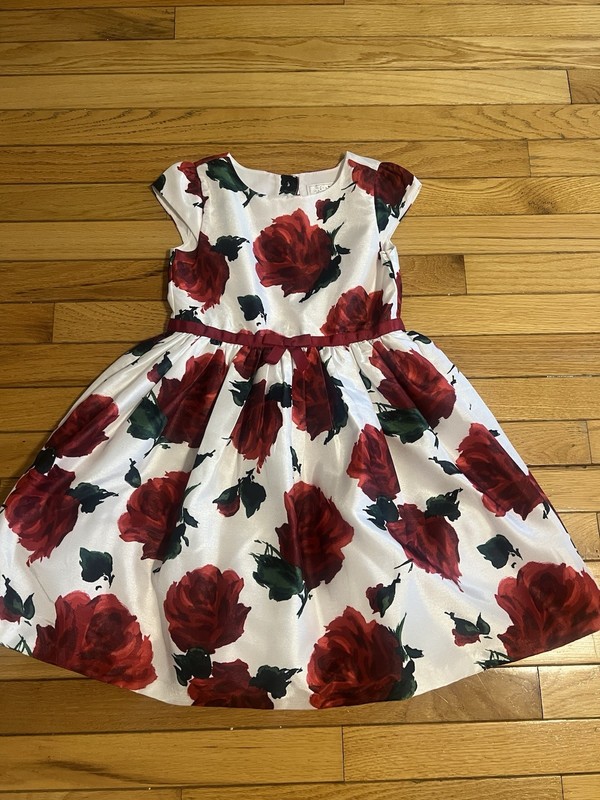 Girls GYMBOREE dressed Up Dress Size 6