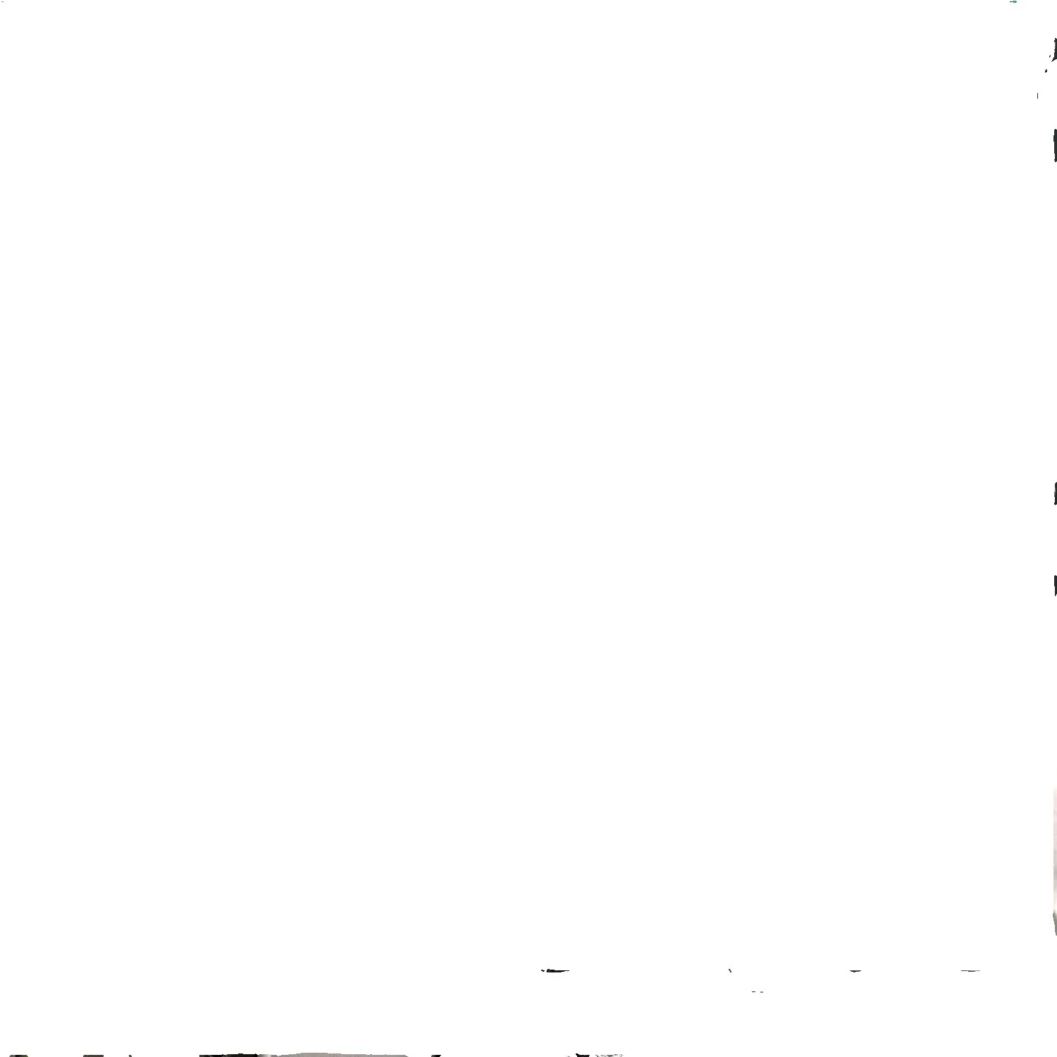 Black Floral Wallpaper Rolls & Sheets