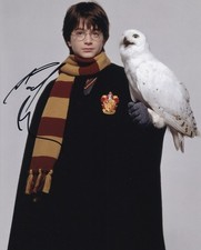 DANIEL RADCLIFFE signed autograph 20x25cm HARRY POTTER in person autograph ACOA