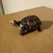 Wade Vintage Porcelain Tortoise Trinket Box