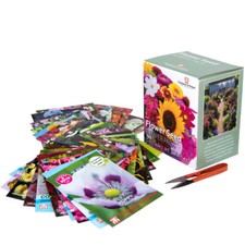 T&M Flower Seed Box Bumper Pack Kit 40 Flowering Varieties