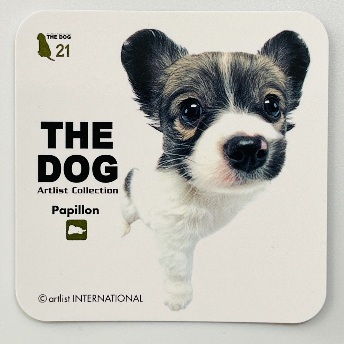 Animal Papillon Dogs 101 Papillon The Dog Collection Coaster Card