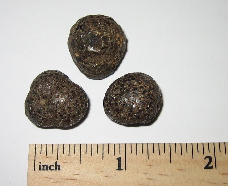 3 SMALL NATURAL 0.55"- 0.6" RARE 'PROPHECY STONE' MINERALS PAKISTAN 31.2grams *3