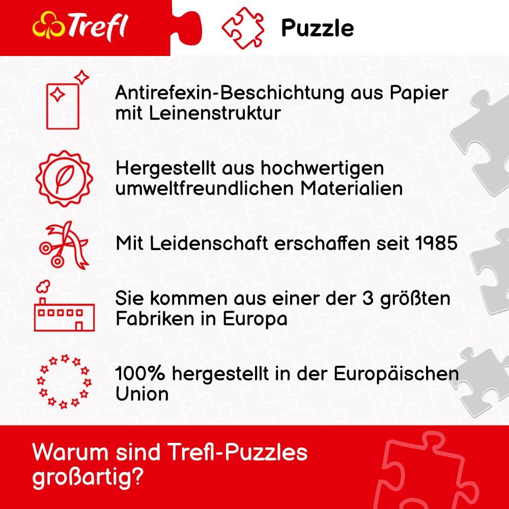 Bild 6 von 6