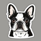Boston Terrier Dog Breed Cute Adorable 3" Vinyl Sticker