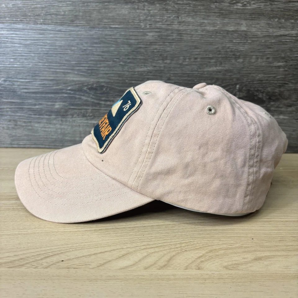 Valleyfair Sombrero Gorra Correa Trasera Parche Rosa Papá Sombrero Para Hombres 76 Parque de Atracciones Foto 4 de 4