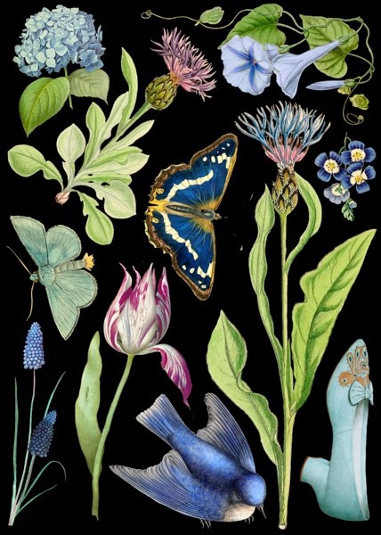 Purple & Blue - Art Blank Greeting / Birthday Card  -  Botanical Butterfly Bird