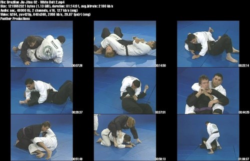 Brazilian Jiu Jitsu and Advanced BJJ starring Joe Moreira (23 DVD Set) - Imagen 9 de 12