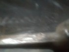 Bild 7 von 9