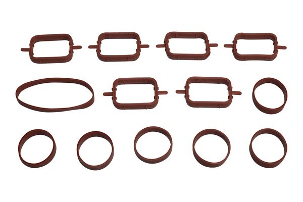 Fits TRUCKTEC 08.14.075 GASKET SET, INTAKE MANIFOLD BMW  ⭐UK Stock⭐