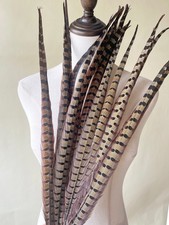 Natural Ringneck Pheasant Tail Feathers Millinery Fascinator DIY Craft Hat Decor