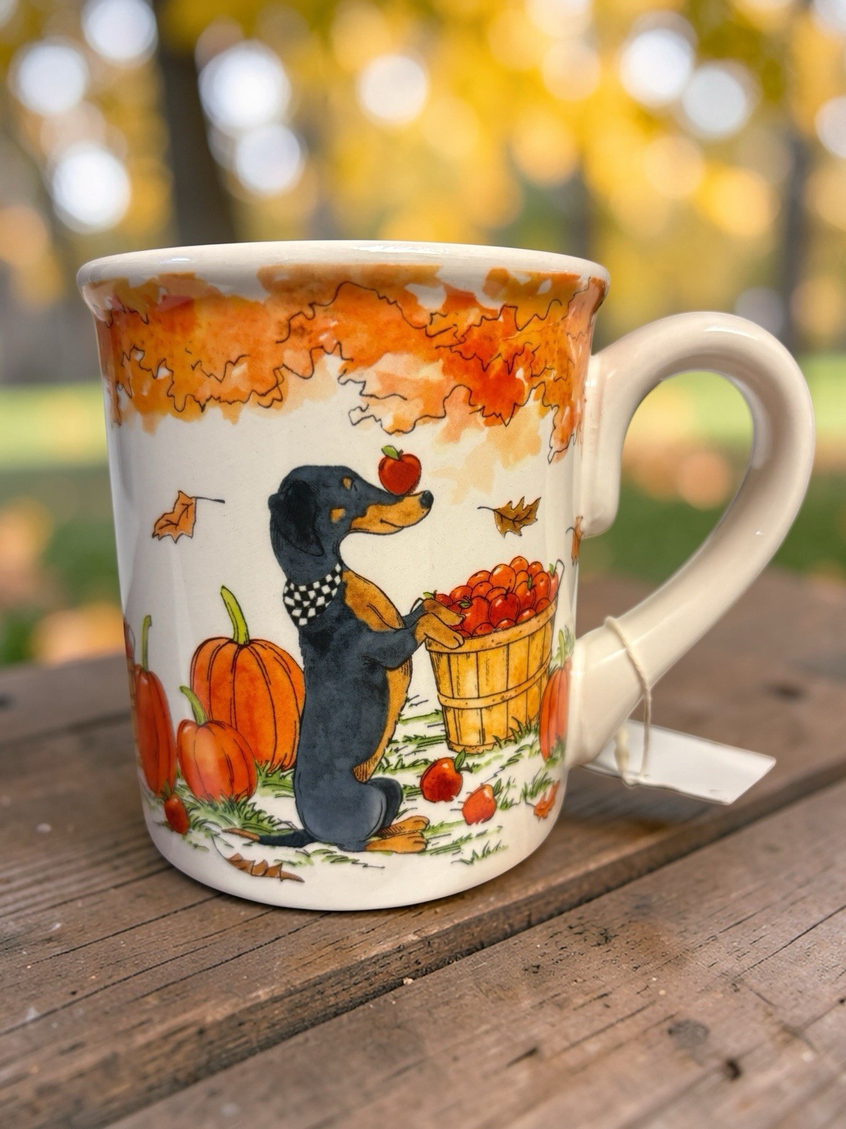 Dachshund Fall Apple Pumpkin Orchard Dog Tea Coffee Mug Certified International