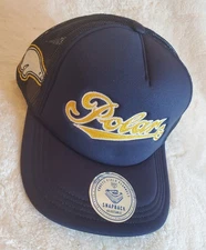 Cerveceria Polar MiLB Ebbets Field Flannels DNA Trucker Snapback Navy