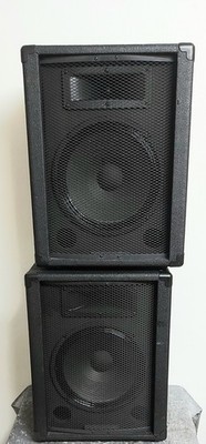 the t.amp Model 100 Lautsprecher 