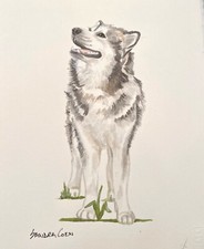 Alaskan Malamute Original Watercolor by Sandra Coen Standing