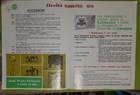 Foto 4 di 6