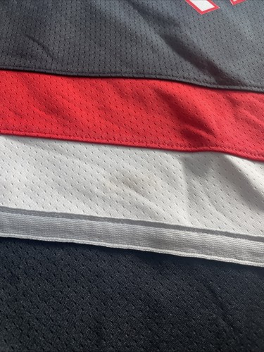 Portland Trail Blazers Sharpe Nike Dri-fit Swingman Jersey Icon Edition Youth L - Picture 3 of 13