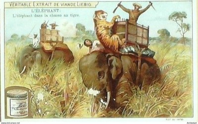 Chrom Liebig Sang 701 Der Elefant III (1902)