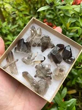 7-10 pcs Box Smoky Quartz Clusters Collection, Grade A++ Smoky Quartz Crystals