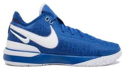 Nike Zoom LeBron NXXT Gen TB Promo Game Royal for Sale