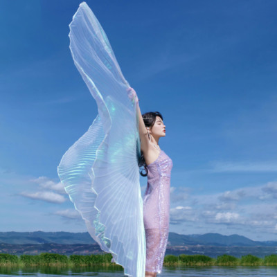 Isis Wing Belly Dance Wings Egyptian Costume Cosplay Colorful Performance Prop