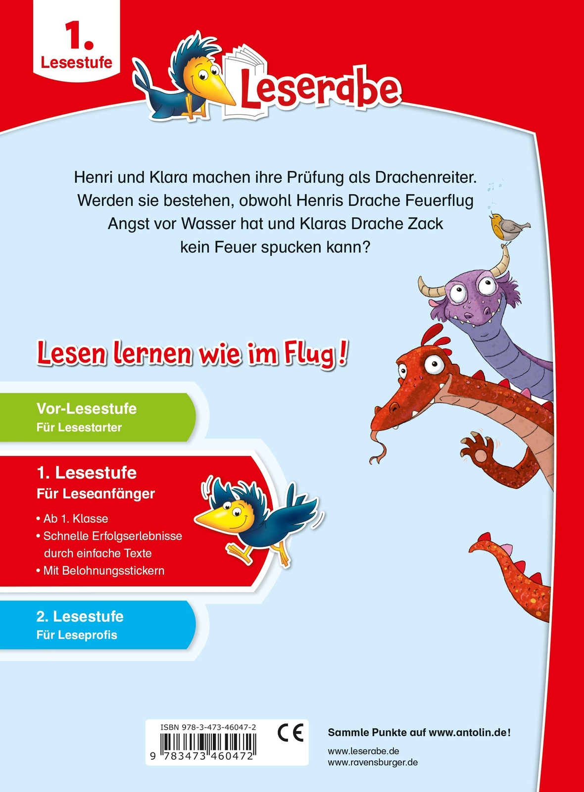 Thumbnail - Die Drachenreiter-schule - Leserabe Ab 1. Klasse - Erstlesebuch Für