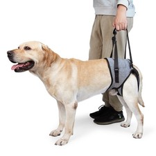 Dog Sling for Large Dogs Hind Leg Support to Help Rehabilitate the Hind Limbs...
