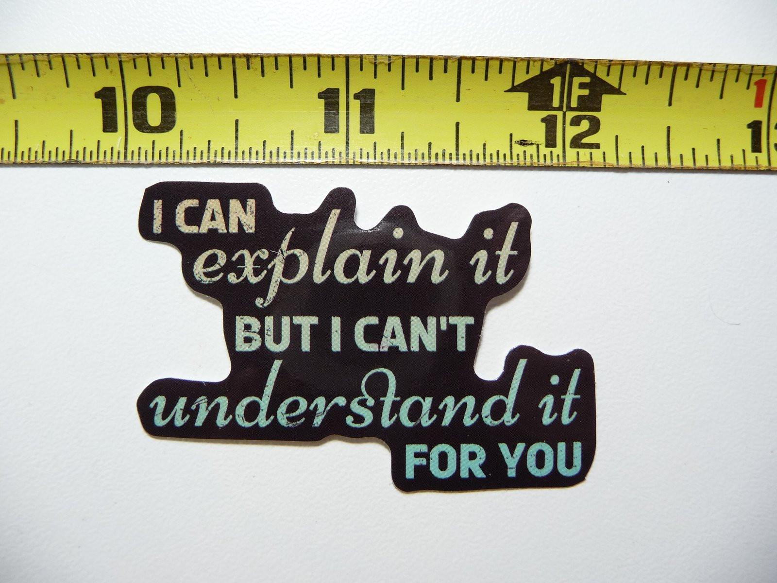 Funny Sarcastic Decal Sticker - Can Explain But Can't Understand Sarcasm