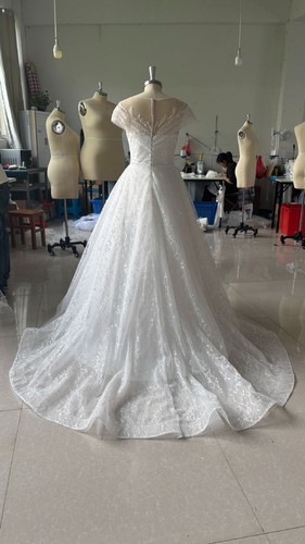 Short Sleeves Wedding Bridal Dresses V Neck Applique A Line Sweep Train Custom - Picture 11 of 13
