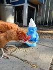 Made in America Gnome Chompski Feeder - 3D Printed Garden Bird & Chicken Feed