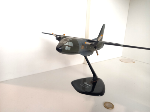 PIAZZAI MODELS AERITALIA G 222 AERONAUTICA MILITARE SCALA 1/100 500951 - Bild 11 von 11