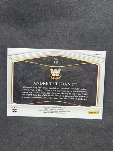 carte catch 2022 panini wwe select concourse prizm aux choix liste déroulante - Imagen 65 de 383