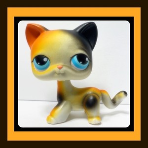 lps calico cat