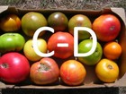 C-D 🍅 40 VARIETES DE TOMATE - 15 GRAINES / 40 TOMATO VARIETIES - 15 SEEDS 🍅